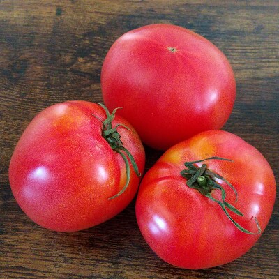 【2022年産先行受付】山形県産<大玉トマト>2kg