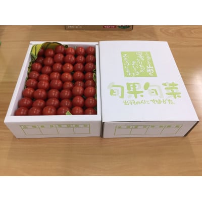 【令和6年産先行受付】山形県産高糖度ミディトマト【シンディスィート】　2kg