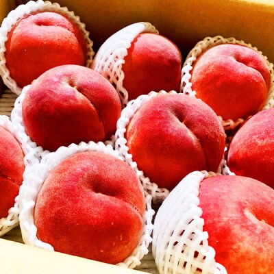 【令和6年産先行受付】山形県産白桃秀品約 約5kg(12玉～20玉)※品種おまかせ 軟らかくなる桃　