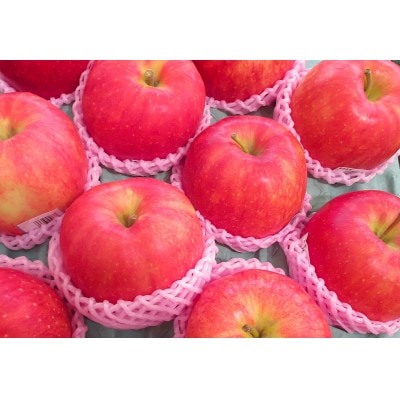 【令和7年産先行受付】山形県産 蜜入りんご高徳＜秀品＞ 約3kg