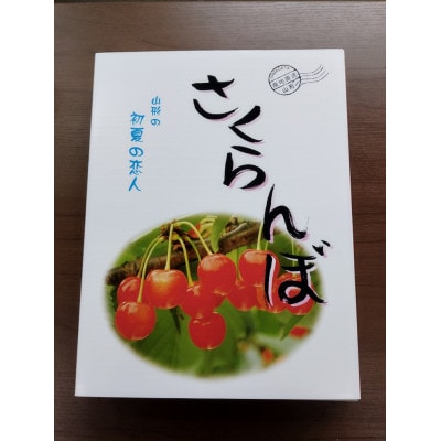 【令和7年産先行受付】山形県産 さくらんぼ<佐藤錦>秀品 約800g(約200g×4P)Lサイズ以上