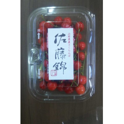 【令和7年産先行受付】山形県産 さくらんぼ<佐藤錦>秀品 約800g(約200g×4P)Lサイズ以上