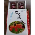 【令和8年産先行受付】山形県産 さくらんぼ<紅さやか>秀品 　Lサイズ　 約800g