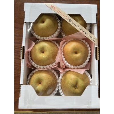 山形県産和梨(秀品　幸水、豊水、あきあかり他より品種おまかせ)　6玉(約1.5kg～約2kg)