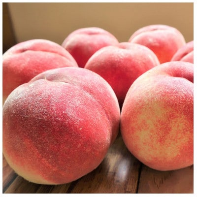 【令和7年産先行受付】山形県産白桃 約2kg(品種おまかせ) 特秀品　柔らかくなる桃