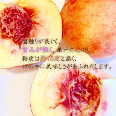 【令和7年産先行受付】山形県産白桃 約2kg(品種おまかせ) 特秀品　柔らかくなる桃