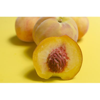 【令和7年産先行受付】山形県産黄桃 約2kg(品種おまかせ) 特秀品　柔らかくなる桃