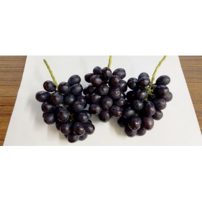 【令和7年産先行受付】山形県産大粒ブラックシャインマスカット 約800g(1～2房) 特秀品
