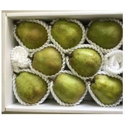【令和8年産先行受付】山形県産 大玉「ラ・フランス」3kg(6～10玉)特秀品