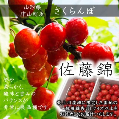 【令和8年産先行受付】山形県産 さくらんぼ<佐藤錦>特秀品 Lサイズ以上 約700g