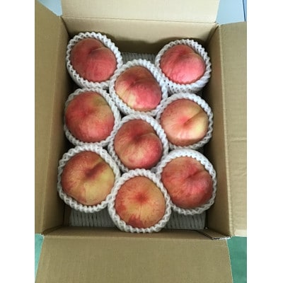 【令和8年産先行受付】山形県産白桃　秀品　約3kg(品種おまかせ)　柔らかくなる桃