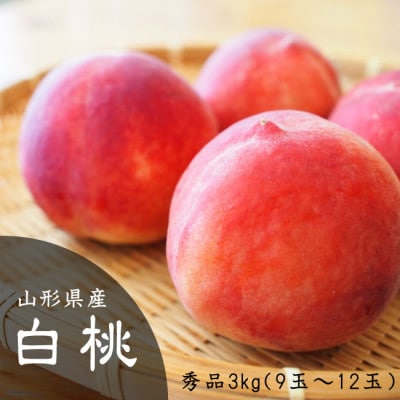 【令和8年産先行受付】山形県産 白桃秀品(品種おまかせ) 約3kg 硬め・あまり柔らかくならない桃