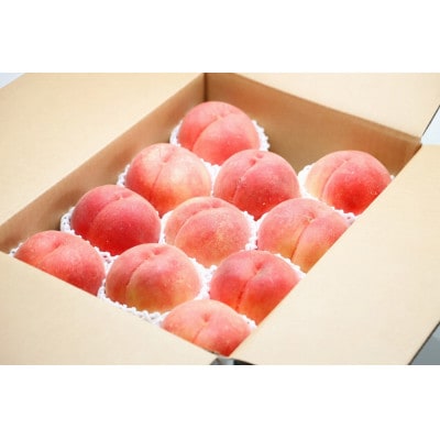 【令和8年産先行受付】山形県産 白桃秀品(品種おまかせ) 約3kg 硬め・あまり柔らかくならない桃