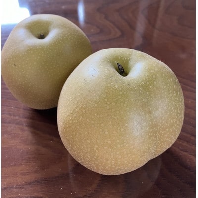 「令和8年産先行受付」山形県産　和梨(秀品　品種おまかせ)　6玉(約1.5kg～約2kg)