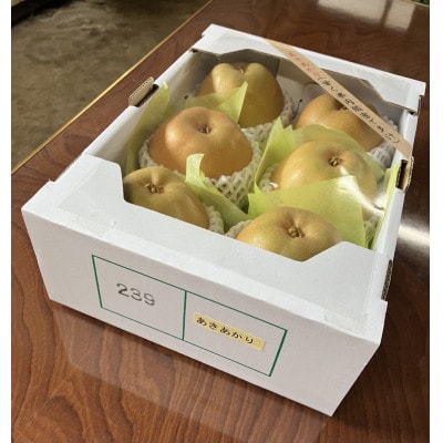 「令和8年産先行受付」山形県産　和梨(秀品　品種おまかせ)　6玉(約1.5kg～約2kg)