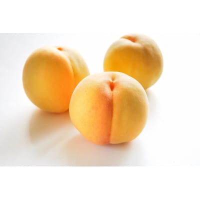 【令和8年産先行受付】山形県産黄桃　特秀品　約2kg(品種おまかせ)　柔らかくなる桃