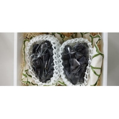 【令和8年産先行受付】山形県産大粒ブラックシャインマスカット 特秀品 約800g(1～2房)