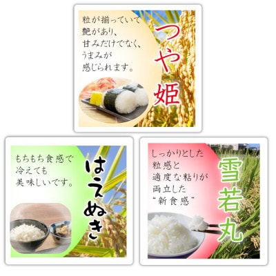 【令和8年産先行受付】山形県産　つや姫・はえぬき・雪若丸　味比べセット(精米)合計6kg
