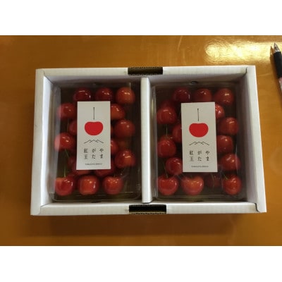 【令和9年産先行受付】山形県産さくらんぼ《やまがた紅王 特秀品》600g 2L/3Lサイズ混合