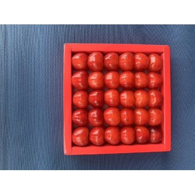【令和9年産先行受付】山形県産さくらんぼ《やまがた紅王 特秀品》4Lサイズ プレミアム 380g