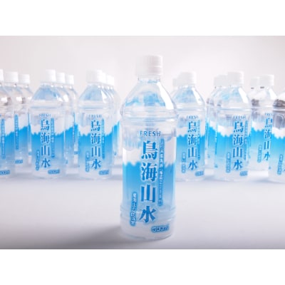 FRESH 鳥海山水(ちょうかいさんすい)　500ml×24本　2ケース
