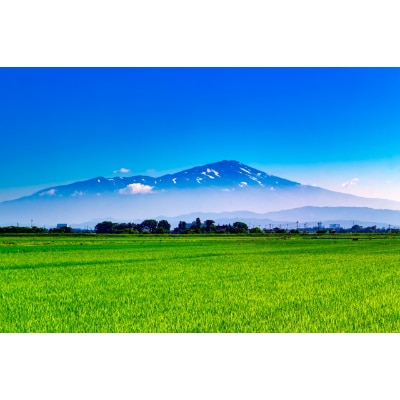 FRESH 鳥海山水(ちょうかいさんすい)　500ml×24本　2ケース