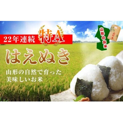 国盛 はえぬきあまざけ500g×6本