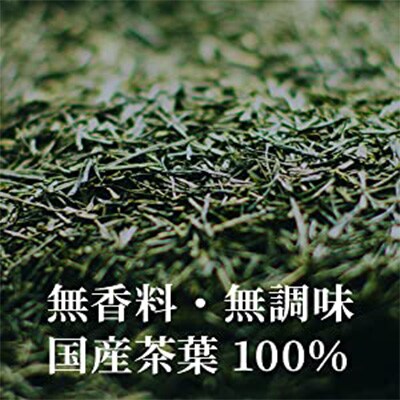 2023年3月発送開始『定期便』伊藤園お～いお茶濃い茶500ml24本12ヶ月計288本 全12回