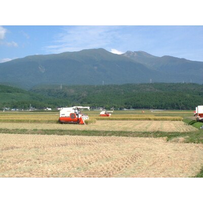 令和4年　山形県産　ひとめぼれ　精米9kg　特別栽培米
