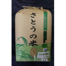 令和4年 山形県産 ひとめぼれ 玄米 10kg 特別栽培米