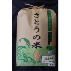 令和4年 山形県産 はえぬき 玄米10kg 特別栽培米