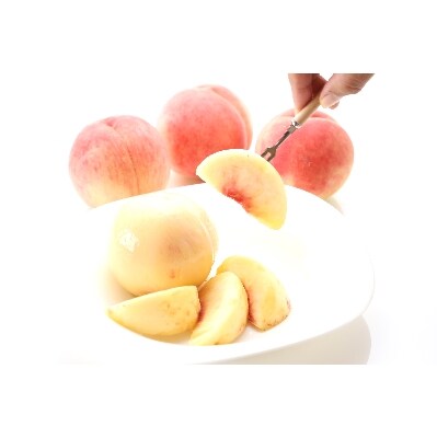【先行受付】柔らかめ白桃 約2kg