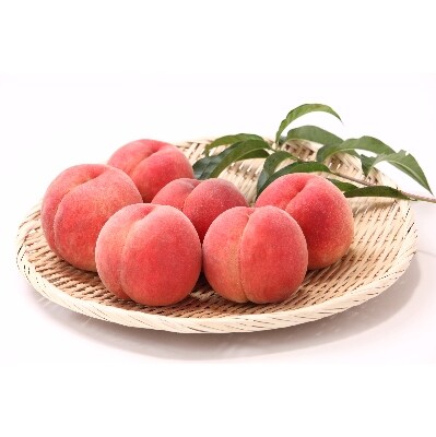 【先行受付】大人気!硬めの白桃約3kg