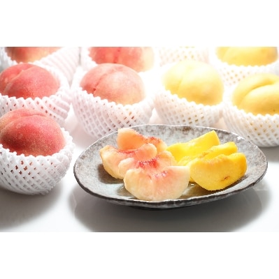【2022年発送 先行受付】どちらも食べたい!白桃と黄桃詰め合わせ約2kg