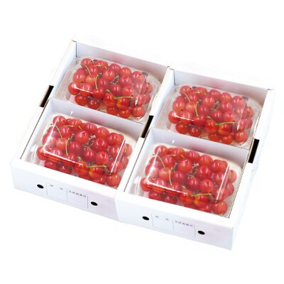 【先行受付】秀撰佐藤錦ドームパック　200g×4パック【清川屋】