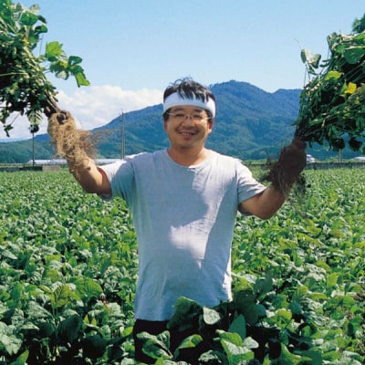 【令和7年産 受付開始】甚兵衛 白山だだちゃ豆 木箱入り　1kg【清川屋】