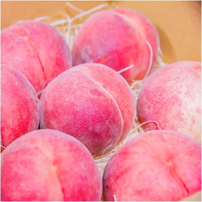 ※数量・期間限定※<山形県産白桃>　品種・玉数おまかせ 約3kg