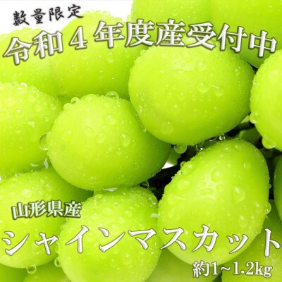 令和4年産先行受付 数量 期間限定 山形県産シャインマスカット 約1kg 1 2kg お礼品詳細 ふるさと納税なら さとふる