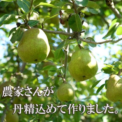 【令和4年産先行受付】※数量・期間限定※ 山形県産ラフランス 秀品 【8玉~14玉前後】<約3kg>