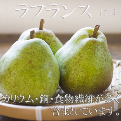【令和4年産先行受付】※数量・期間限定※ 山形県産ラフランス 秀品 【8玉~14玉前後】<約3kg>