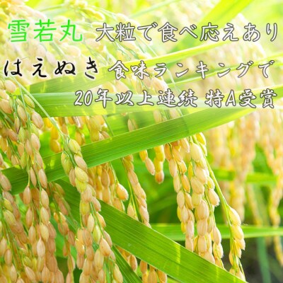 【令和4年度先行受付】※数量・期間限定※ 山形県産人気お米3種セット つや姫・雪若丸・はえぬき
