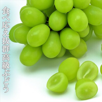 【令和4年産先行受付】※数量・期間限定※<山形県産大粒シャインマスカット> 約800g~1kg