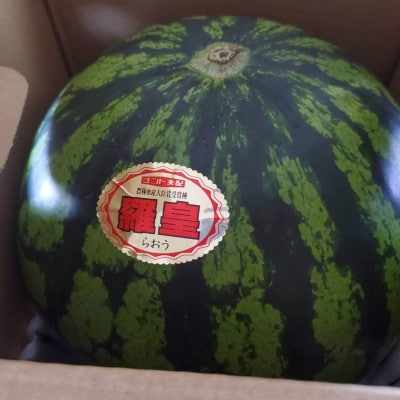 【令和7年発送 先行受付】※数量・期間限定※　 尾花沢スイカ　羅皇　2Lサイズ以上　1玉