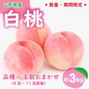 【令和5年度産先行受付】 ※数量・期間限定※ ＜山形県産白桃＞ 品種・玉数おまかせ 約3kg