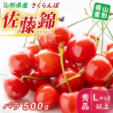[令和6年度産先行受付]※数量・期間限定※ 山形県産さくらんぼ 佐藤錦 バラ500g秀品Lサイズ以上