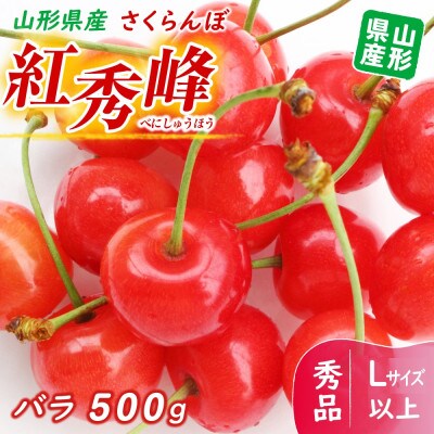 【令和8年発送 先行受付】※数量・期間限定※  山形県産紅秀峰 Lサイズ以上　秀品 バラ500g