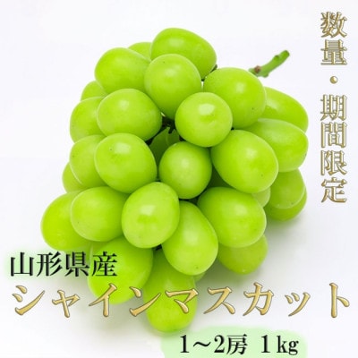 【令和8年発送 先行受付】※数量・期間限定※山形県産シャインマスカット 1kg