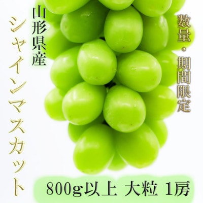 【令和7年発送 先行受付】※数量・期間限定※山形県産シャインマスカット　800g以上　大粒　1房