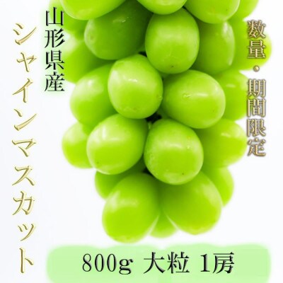 【令和8年発送 先行受付】※数量・期間限定※山形県産シャインマスカット　800g　大粒　1房