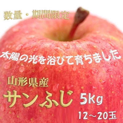 【令和8年度産先行受付】※数量・期間限定　山形県産りんご　サンふじ　秀品　5kg　12～20玉